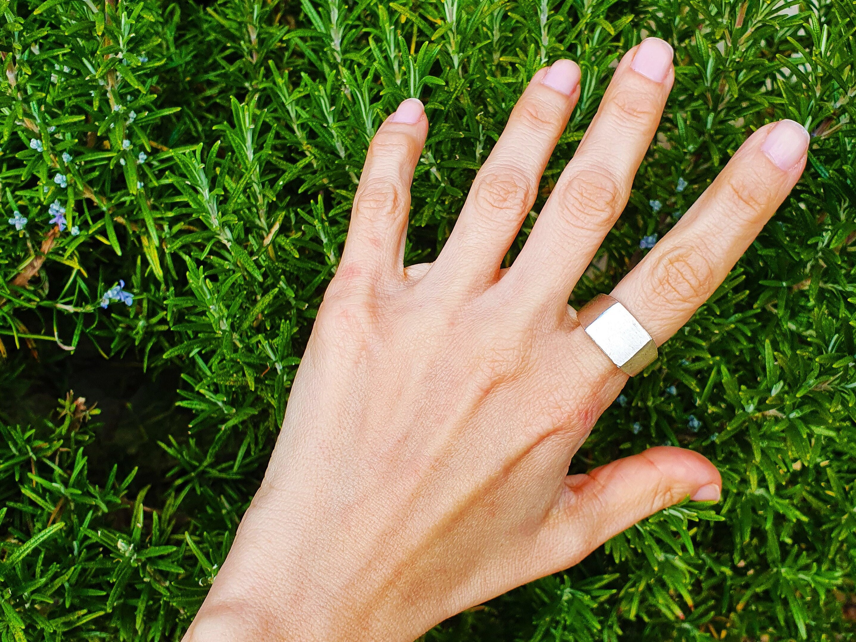 203 Jewelry K10YGリング　Ice Line Ring 203 Jewelry K10YGリングIce Line Ring
