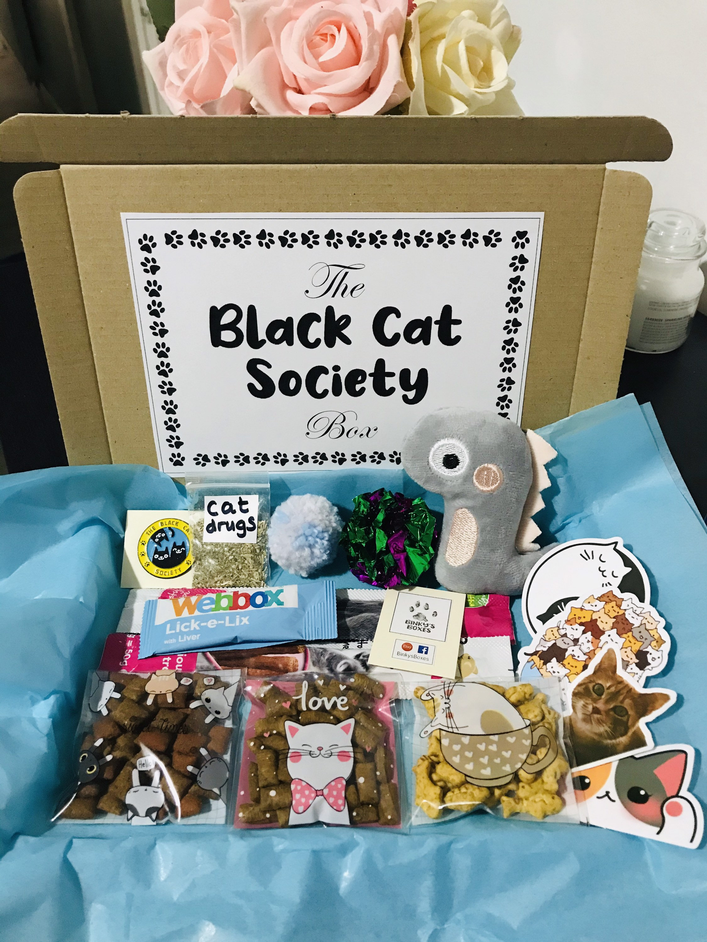 Cat letterbox gift parcel full of treats and toys with cute Etsy