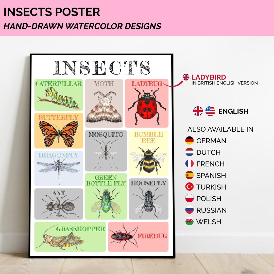 Insects Poster Hand-drawn Watercolor Design Available in Several ...
