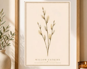 Wildflower Art, Cottage Core, Botanical Poster, Floral Wall Decor, Wildflower Print, Boho  Gift, Scandinavian Art, Willow Catkins
