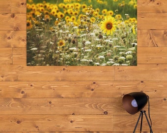 Sunflower Field Canvas Art, Photography, Floral, Yellow White and Green, Meadow nature