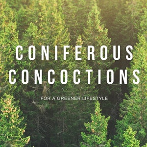 RECIPE eBOOK, Coniferous Concoctions, Digital Recipe Book