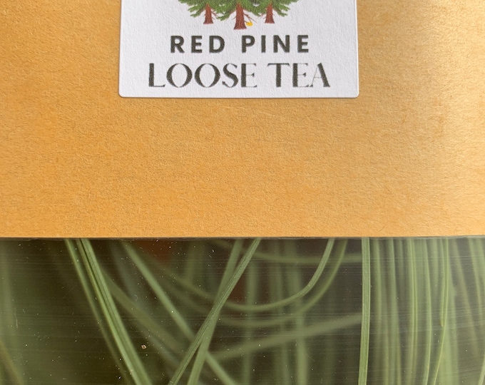 RED PINE NEEDLE Tea, Natural Hand Harvested, Herbal Teas, Pinus Resinosa