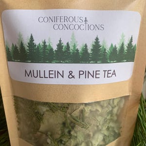 MULLEIN PINE NEEDLE Tea, Organic Natural Hand Harvested Herbal Teas, Wild Harvest Mullein Leaves, Pine Needle Tea