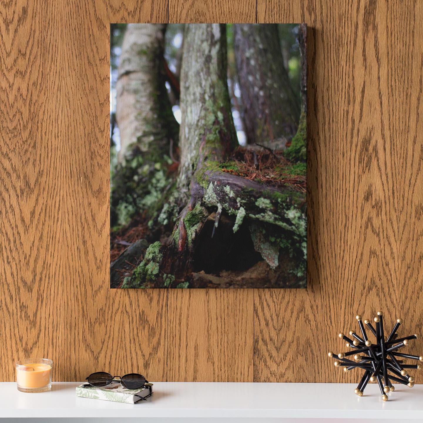 gallery photo