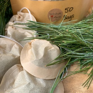 Bolsitas de té orgánico de agujas de pino blanco: té canadiense cosechado a mano