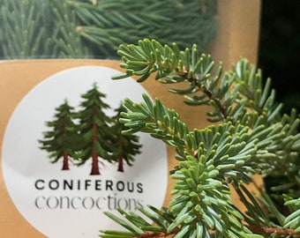 PRE-ORDER Spruce Tips TEA Whole Tips 25g