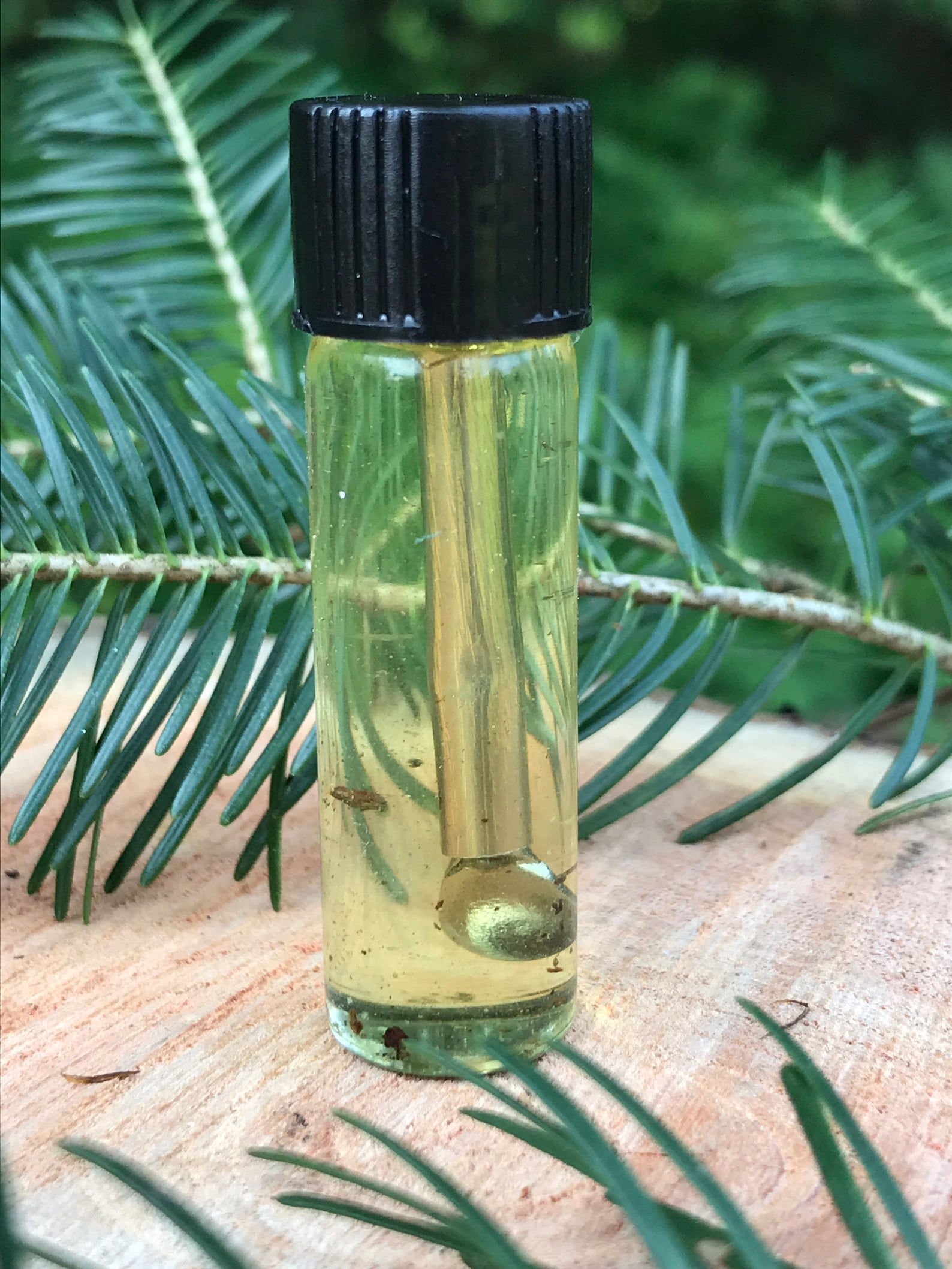Balsam Fir OIL & TEA CONCENTRATE Tree Resin Antiviral Etsy