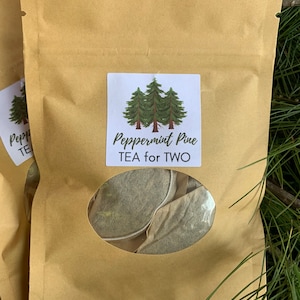 Coniferous Tea Gift Sample: Pine Needle Herbal Tea Variety