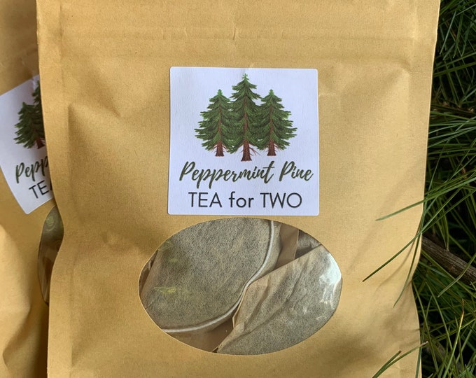 Pine Needle Tea Bags, T42, Tea Gift, Sample Size, Tea Gift, Gift for her, healthy tea, natural tea, organic tea