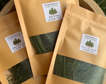 VARIETY TEA PACK, White Pine, Balsam Fir & Red Pine Tea, Organic Natural Hand Harvested Herbal Teas