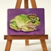 see more listings in the Funny Frogs section