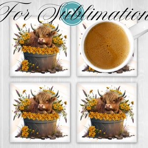 May include: Four square ceramic coasters featuring a Highland cow sitting in a bucket of yellow flowers. The coasters are white with a subtle background pattern.