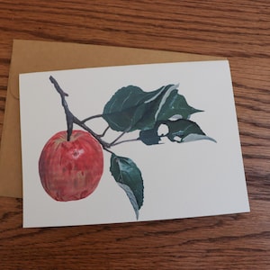 Apple Card  |  Blank Card  |  Greeting Card