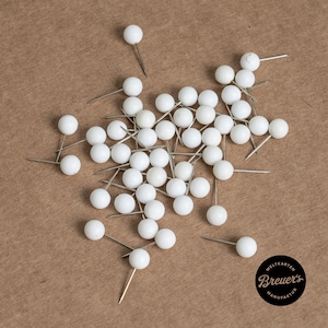 Pinnen &pins (50 stuks) Wit voor World Map Pinboard Canvas Travel Planning