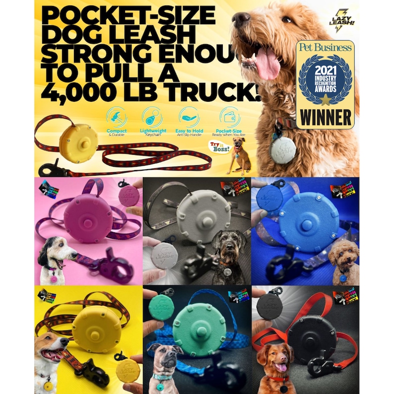 Gray Free Bonus Leash Mini Adjustable Dog Leash for Hiking, Training