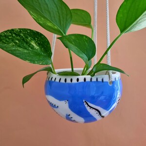 Peut inclure: Un pot de fleurs suspendu en céramique avec un extérieur bleu et des illustrations de phoques blancs. Le pot contient une plante verte à feuilles et est suspendu par une corde blanche. Le pot a une forme arrondie et un bord décoratif à points noirs.