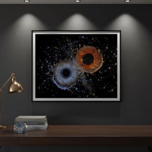 Puede incluir: Una impresión artística enmarcada con dos imágenes detalladas de iris, una azul y otra naranja, sobre un fondo negro con salpicaduras de color. La obra de arte se exhibe en una pared oscura sobre un escritorio de madera con una lámpara de escritorio de latón.