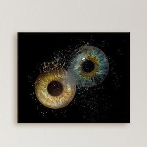 Transform your own eye photographs into a stunning and personalized piece of eye art with a custom eye portrait of you and your partner.