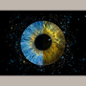 Custom Split Eyes Portrait using pictures of you and your partners eyes! Instructions for taking photos of your eyes are shown below.