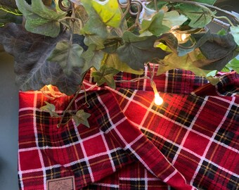 Dog Scarf - PEPPERMINT