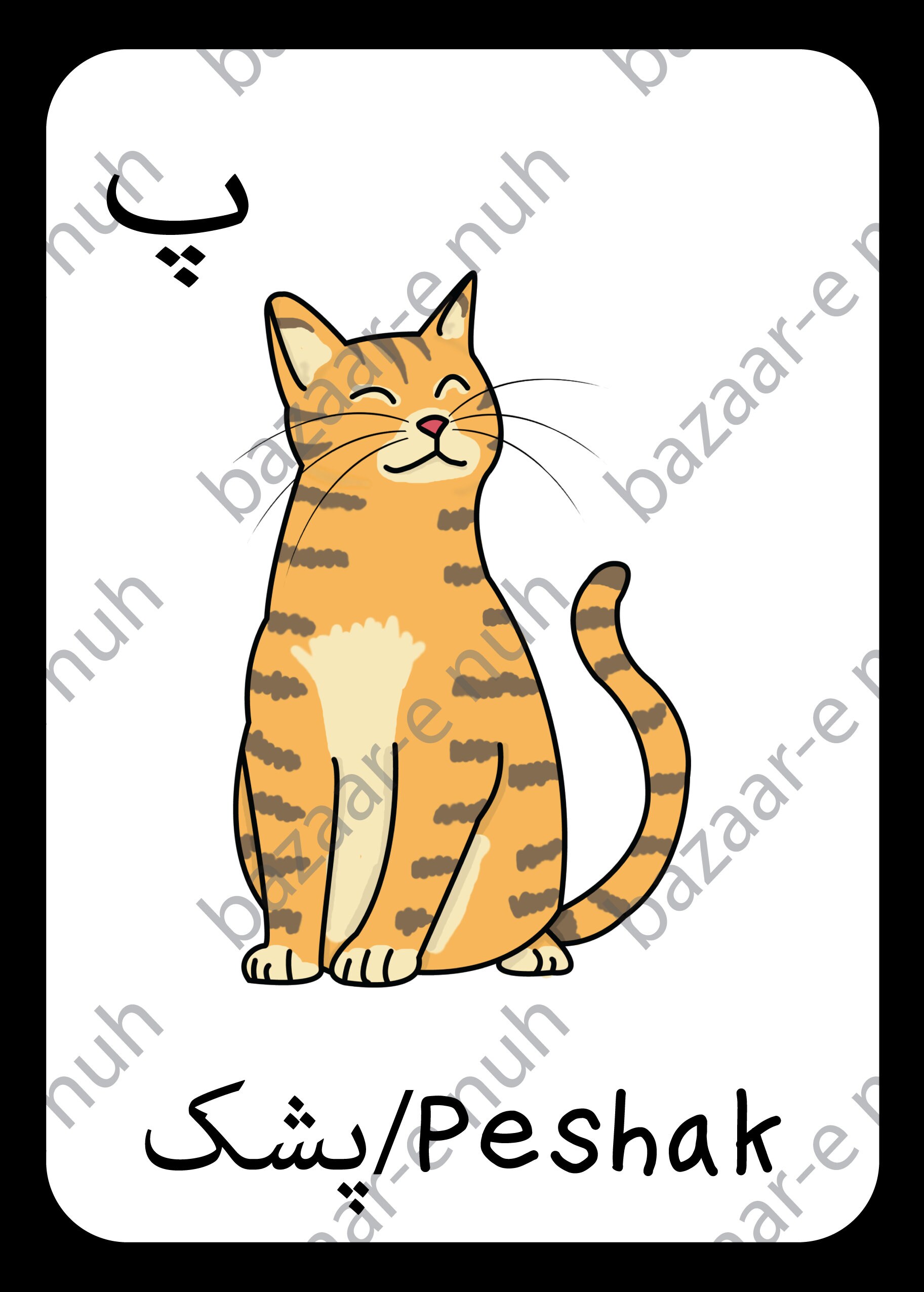 Dari Alphabet Flashcards with Transliterations Etsy