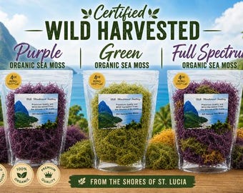 Certified Wild Harvested Organic PURPLE and FULL SPECTRUM Multi-Colored Irish Sea Moss | St. Lucia Harvested | Wholesale | Bulk Raw