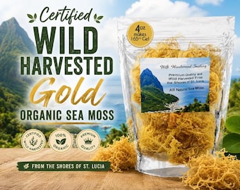 May include: A clear plastic pouch containing dried gold sea moss, labeled with the text MS Windward Trading, Premium Quality and Wild Harvested From the Shores of St. Lucia, All Natural Sea Moss, and a 4oz makes 165oz Gel circular badge.