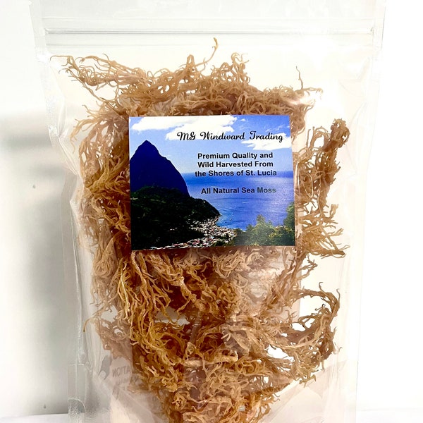 Wild Harvested Raw Gold Irish Sea Moss Dr. Sebi Grade | Bulk | Chondrus Crispus | From Saint Lucia | Wholesale