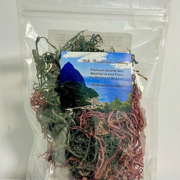 RARE Wild Harvested Green, Purple, and Full Spectrum Multi-Colored Irish Sea Moss | St. Lucia Harvested | Wholesale | Bulk Raw