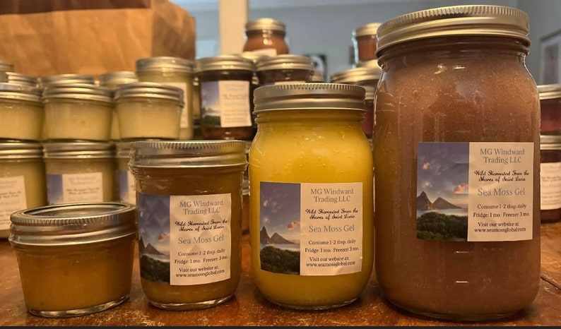 May include: A close-up of three glass jars filled with a yellow and brown gel. The jars have labels that read "MG Windward Trading LLC Wild Harvested Sea Moss from the Shores of Saint Lucia Sea Moss Gel Consume 1-2 tbsp daily Fridge: 1 mo Freezer: 1 mo Visit our website at www.seamosglobal.com".