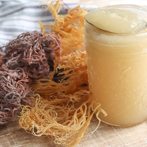 BUY 2 GET 1 FREE!!  Dr. Sebi Inspired Pure Alkaline Sea Moss Gel with Black Seed Oil