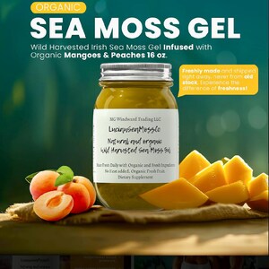 Buy 2 Get 1 FREE! Organic Ashwagandha Infused Alkaline Sea Moss Gel | Choose Alkaline Ashwagandha OR Ashwagandha Fresh Mango Gel afbeelding 7