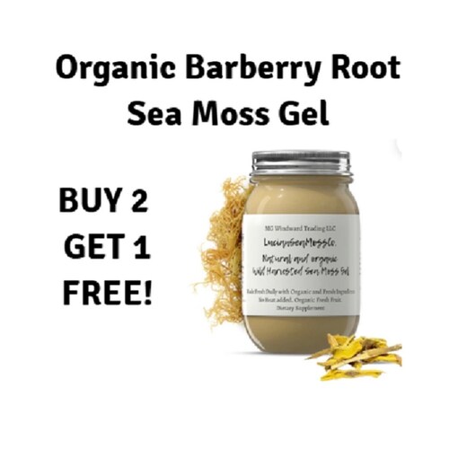Sea Moss Gel {St. Lucia Wild Harvest} - Alchemy Taste | Organic