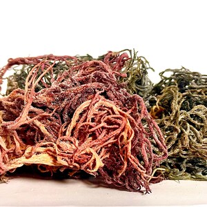 May include: A cluster of dried sea moss featuring a mix of deep red, purple, and dark green branching filaments. The texture is fibrous and tangled, with a light dusting of salt crystals visible across the surface of the seaweed strands.