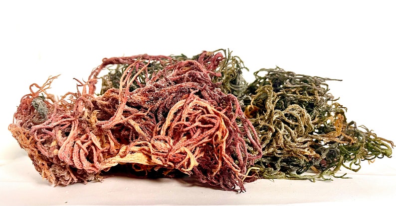 May include: A cluster of dried sea moss featuring a mix of deep red, purple, and dark green branching filaments. The texture is fibrous and tangled, with a light dusting of salt crystals visible across the surface of the seaweed strands.