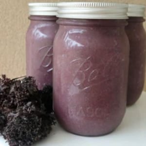 BUY 2 GET 1 FREE!! | Alkaline Purple Irish Sea Moss Gel Infused with Elderberry | Dr Sebi Inspired | Organic