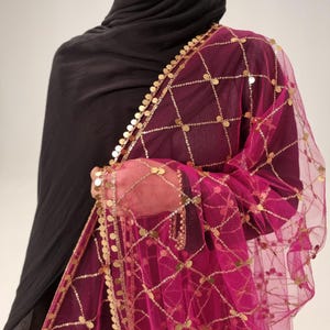 May include: A pink sheer scarf with gold coin embellishments and a delicate net pattern. The scarf has a gold trim and is draped over a black garment.