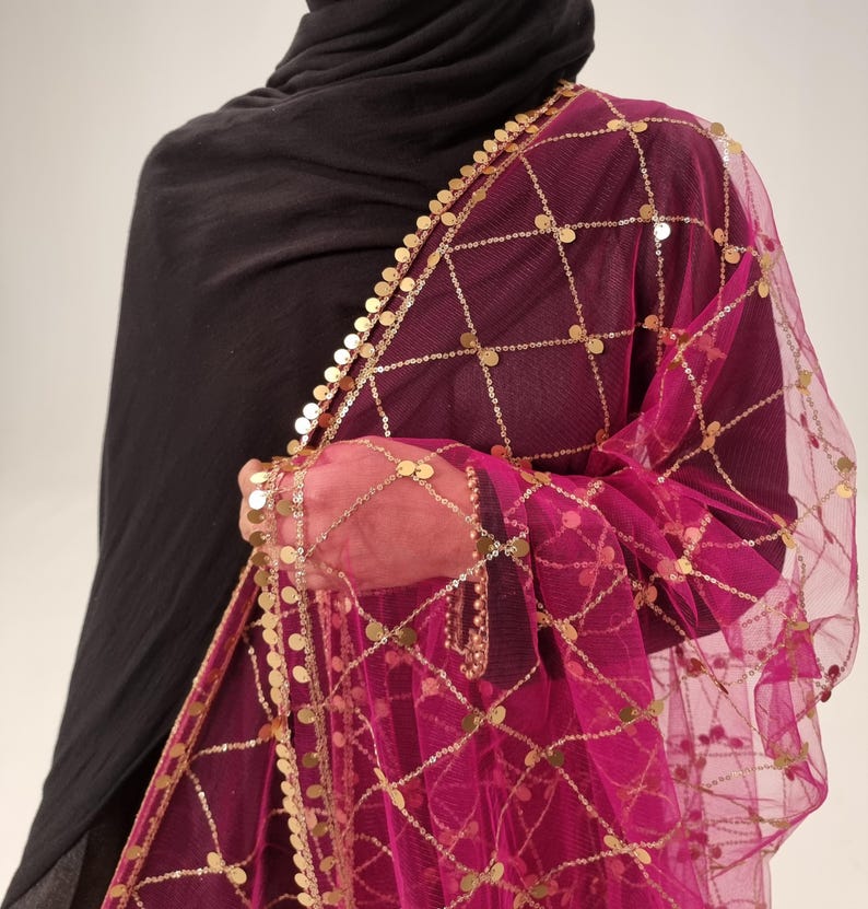May include: A pink sheer scarf with gold coin embellishments and a delicate net pattern. The scarf has a gold trim and is draped over a black garment.