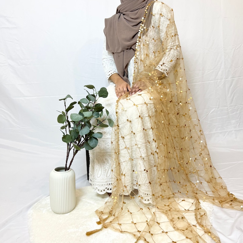 May include: A white dress with gold sequin embroidery and a matching gold sheer shawl. The shawl has a grid pattern and is draped over the dress. The dress and shawl are worn by a person sitting on a chair. A potted plant is in the foreground.
