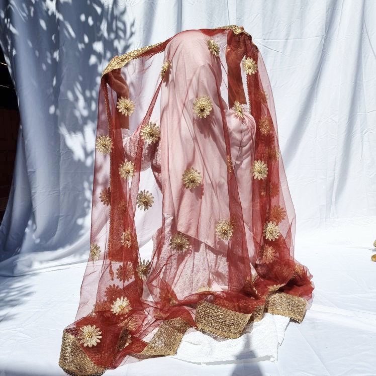 Soft net heavy border dupatta