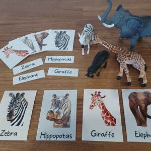 Printable Kids Flash Cards, Montessori Lernen Afrika Natur Studie, Homeschool afrikanische Tiere lernen