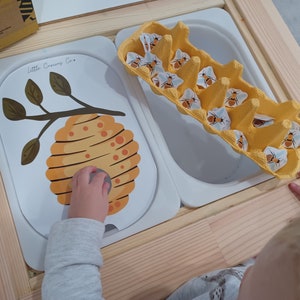 Insert de ruche imprimable Trofast Flisat Lid, Montessori Post Homeschool Learn Bees