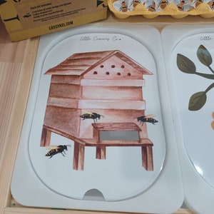 Printable Trofast Flisat Lid Hive Insert, Montessori Post Homeschool Learn Bees