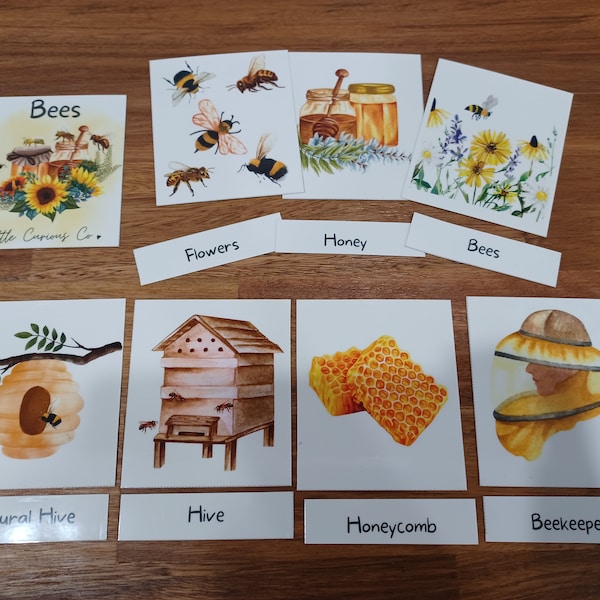 Printable Flashcards, Montessori Learn Bees, Homeschool Bee Nature Study