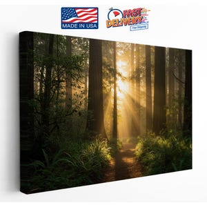 May include: A canvas print of a forest scene with tall trees and a path leading into the distance. Sunlight streams through the trees, creating a bright, golden glow. The image is labeled "Made in USA" and "Fast Delivery".