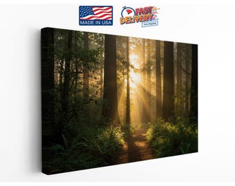 Forest Trail Sunrise, Peaceful Woodland Scene, Latex, Canvas Print