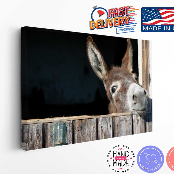 Funny Animal Art Etsy