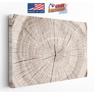 May include: A rectangular canvas wall art piece featuring a high-resolution photographic print of a light-toned tree trunk cross-section. The image displays detailed concentric growth rings and radial cracks in shades of beige, cream, and gray.