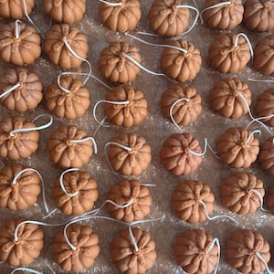 Peut inclure: Plusieurs petites bougies en forme de citrouille, de couleur brun orangé chaud. Chaque bougie a une mèche blanche et est disposée en rangées ordonnées. Ces bougies sont probablement pour la décoration d'automne.